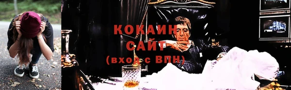 прущие грибы Абинск