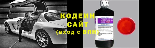 прущие грибы Абинск