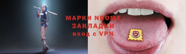 прущие грибы Абинск