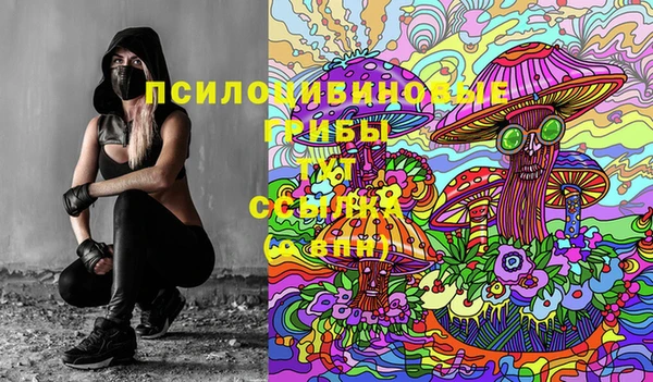 Альфа ПВП Протвино