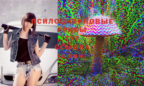 прущие крисы Абдулино